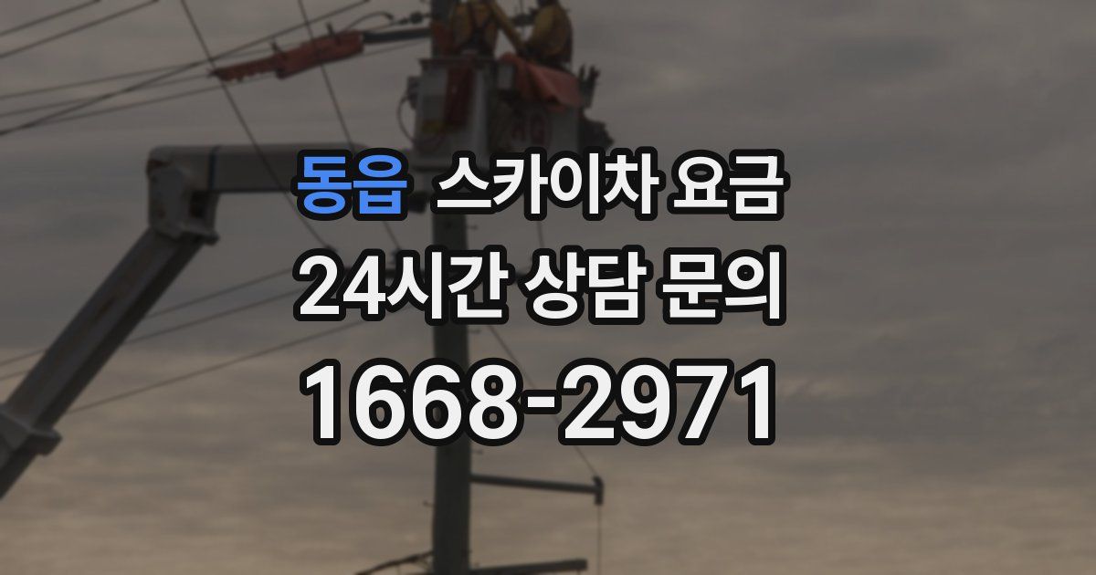 동읍 스카이차 요금