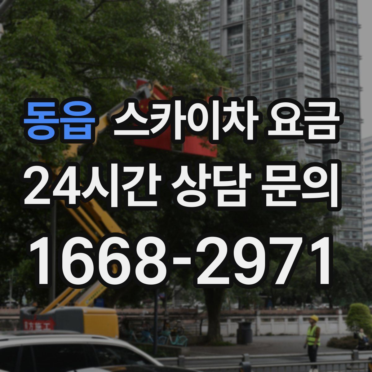 동읍 스카이차 요금