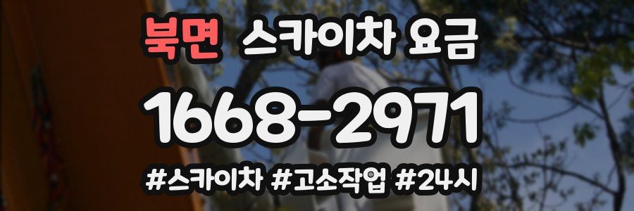 북면 스카이차 요금