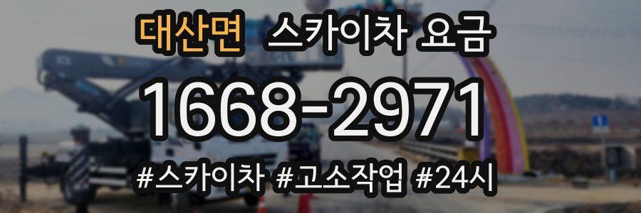 대산면 스카이차 요금