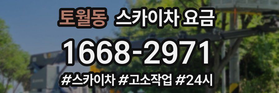 토월동 스카이차 요금