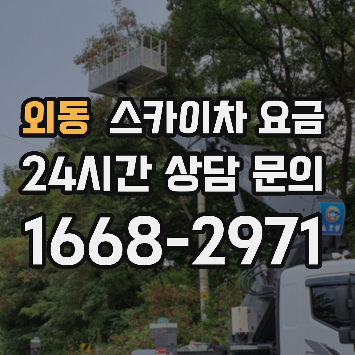 외동 스카이차 요금