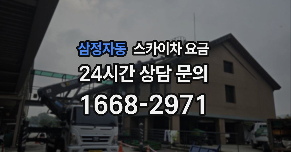 삼정자동 스카이차 요금
