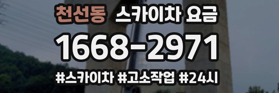 천선동 스카이차 요금