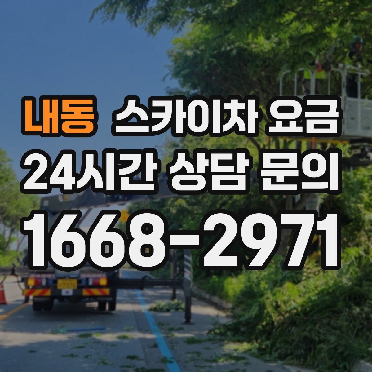 내동 스카이차 요금