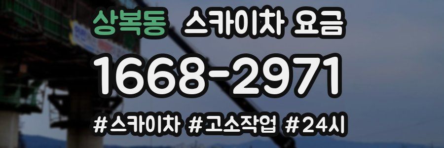 상복동 스카이차 요금