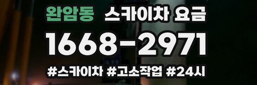 완암동 스카이차 요금