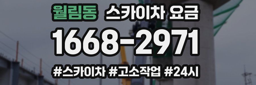 월림동 스카이차 요금