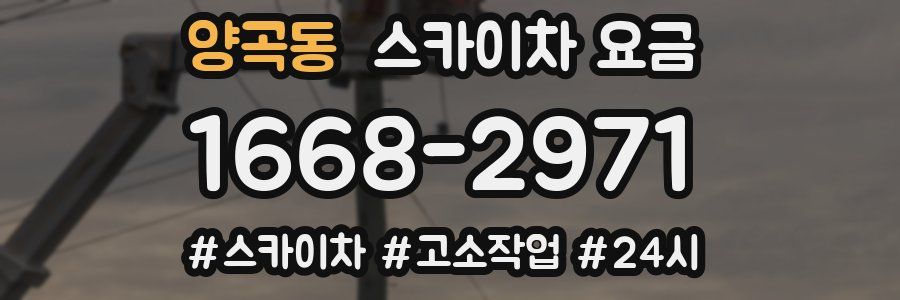양곡동 스카이차 요금