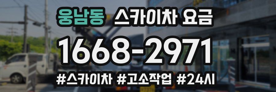 웅남동 스카이차 요금