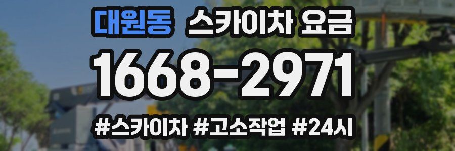 대원동 스카이차 요금