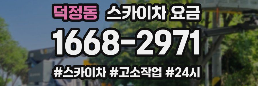 덕정동 스카이차 요금