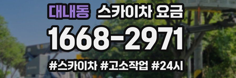 대내동 스카이차 요금