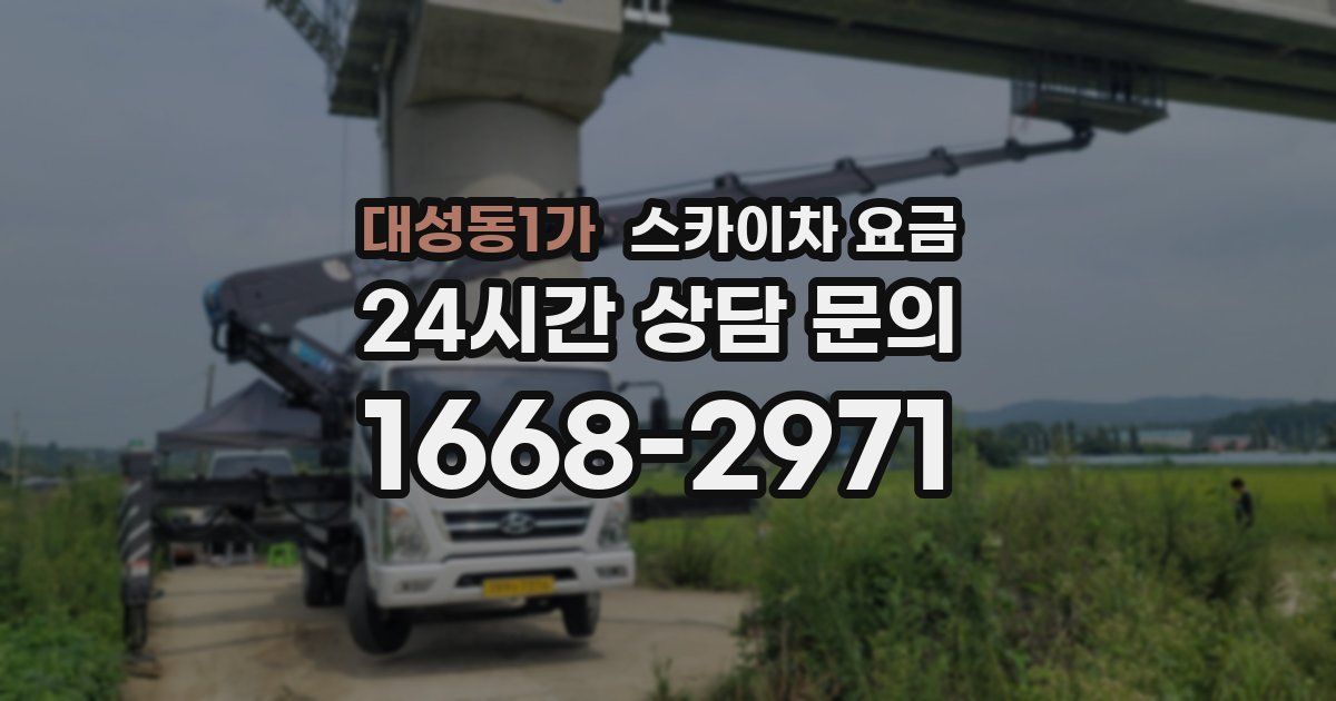 대성동1가 스카이차 요금