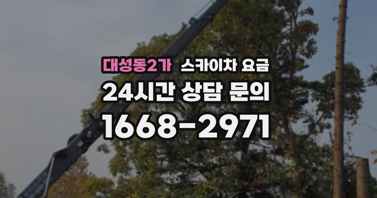 대성동2가 스카이차 요금