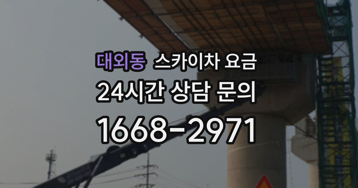 대외동 스카이차 요금