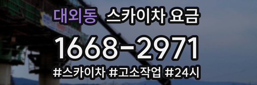 대외동 스카이차 요금