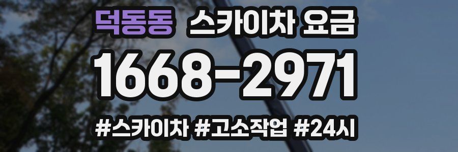 덕동동 스카이차 요금