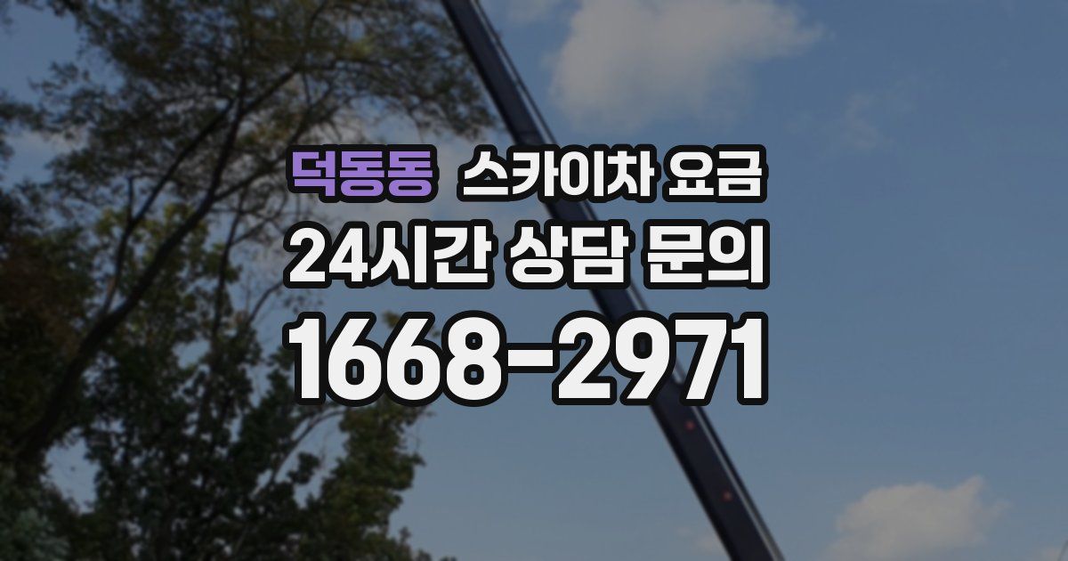 덕동동 스카이차 요금