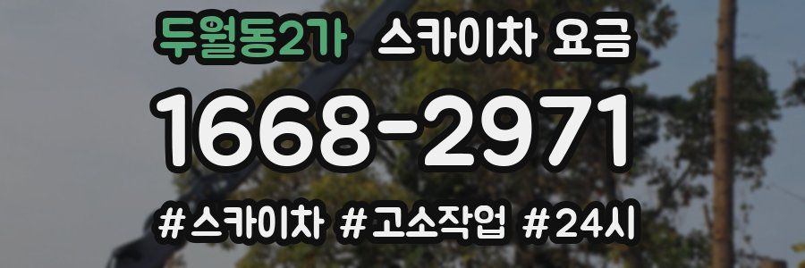 두월동2가 스카이차 요금