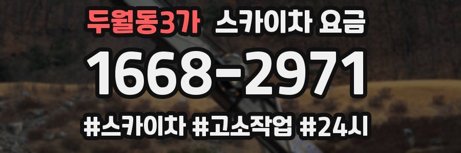 두월동3가 스카이차 요금