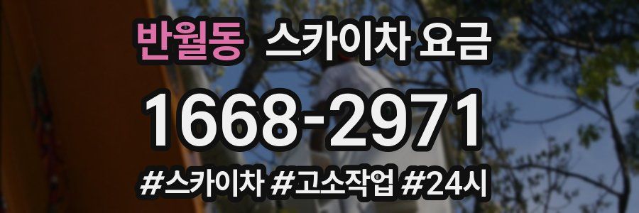 반월동 스카이차 요금