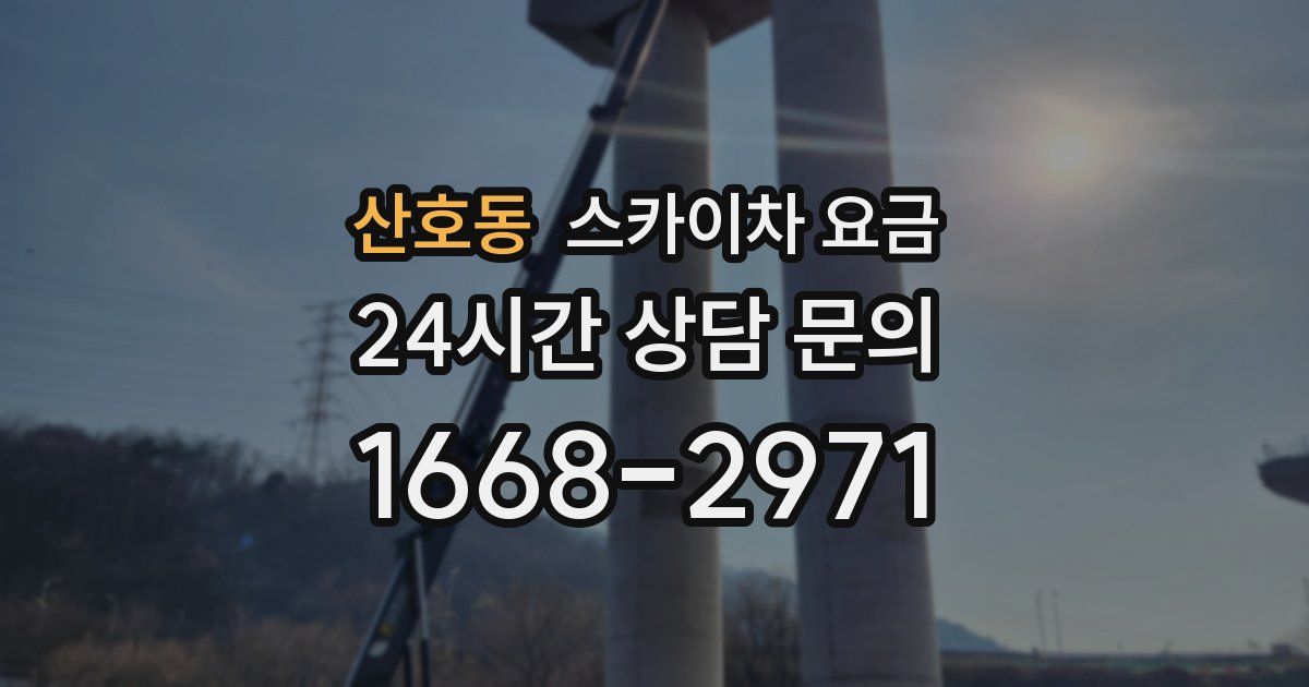 산호동 스카이차 요금
