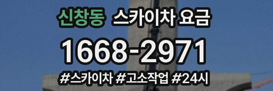 신창동 스카이차 요금