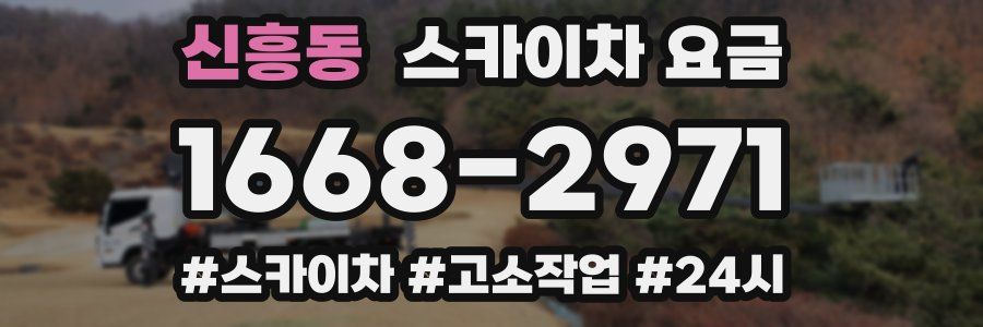 신흥동 스카이차 요금