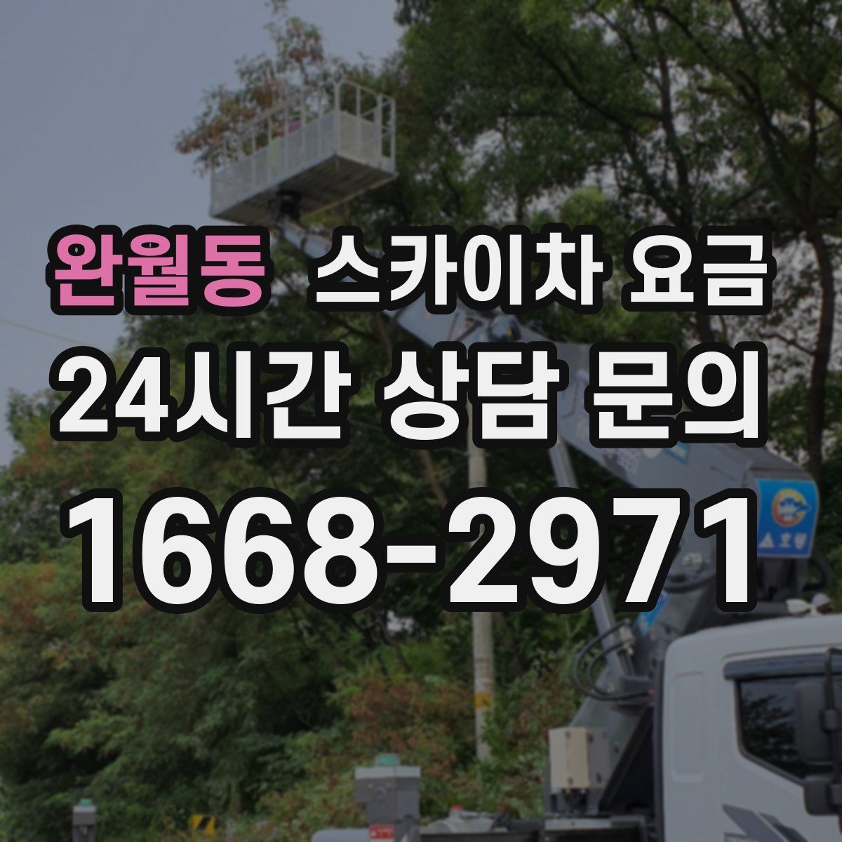 완월동 스카이차 요금