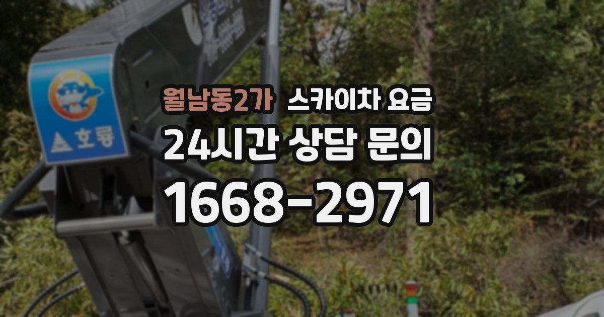 월남동2가 스카이차 요금