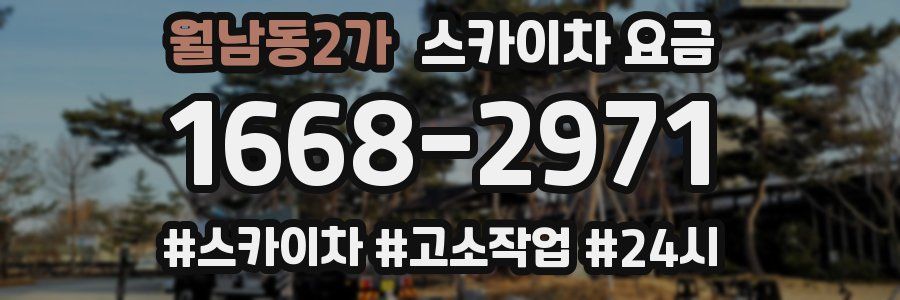 월남동2가 스카이차 요금