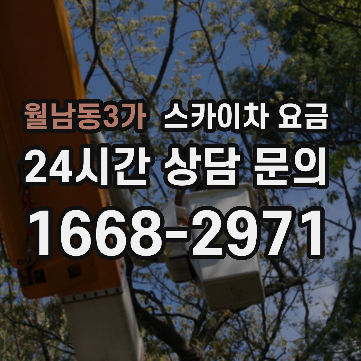 월남동3가 스카이차 요금