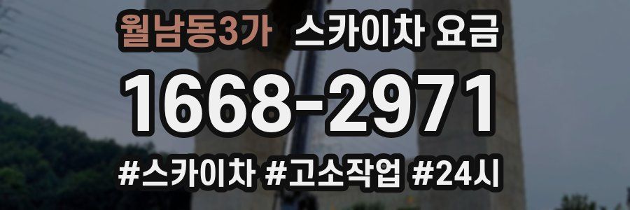 월남동3가 스카이차 요금