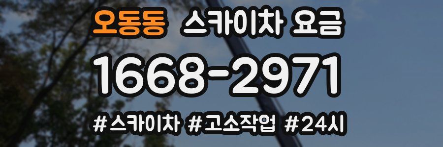 오동동 스카이차 요금