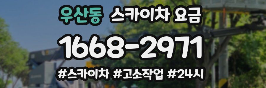 우산동 스카이차 요금