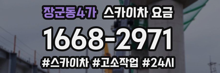 장군동4가 스카이차 요금