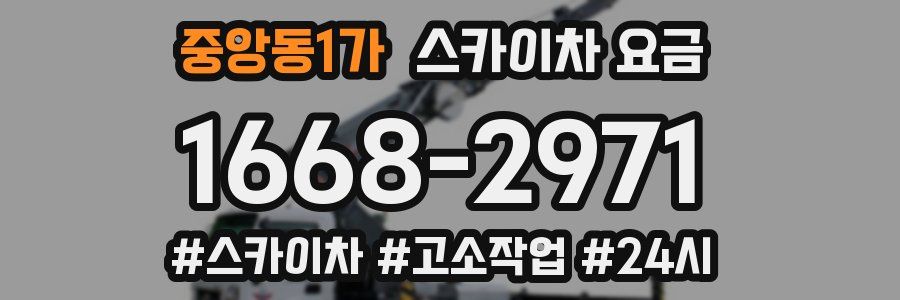 중앙동1가 스카이차 요금