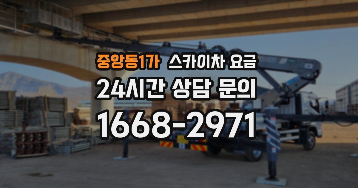 중앙동1가 스카이차 요금