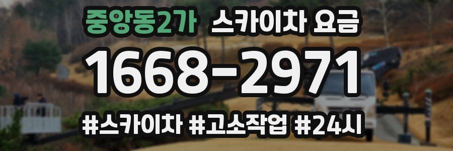 중앙동2가 스카이차 요금