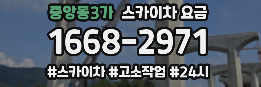 중앙동3가 스카이차 요금