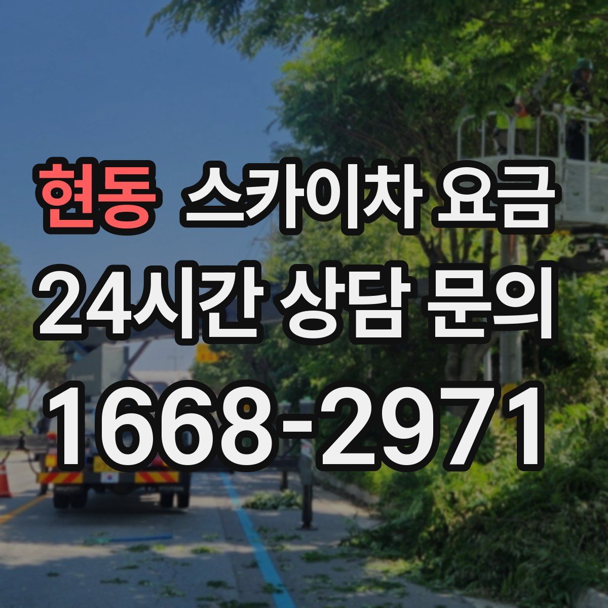 현동 스카이차 요금