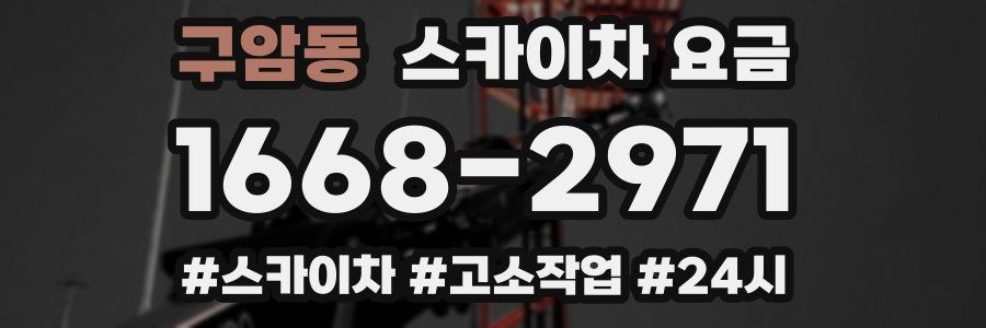 구암동 스카이차 요금