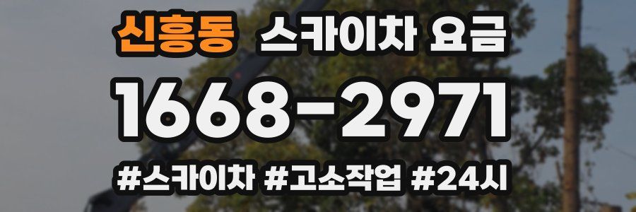 신흥동 스카이차 요금