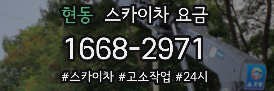현동 스카이차 요금