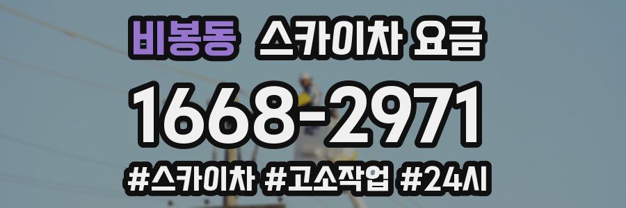 비봉동 스카이차 요금