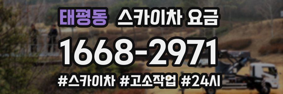 태평동 스카이차 요금