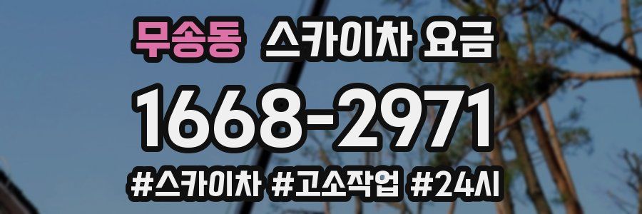 무송동 스카이차 요금