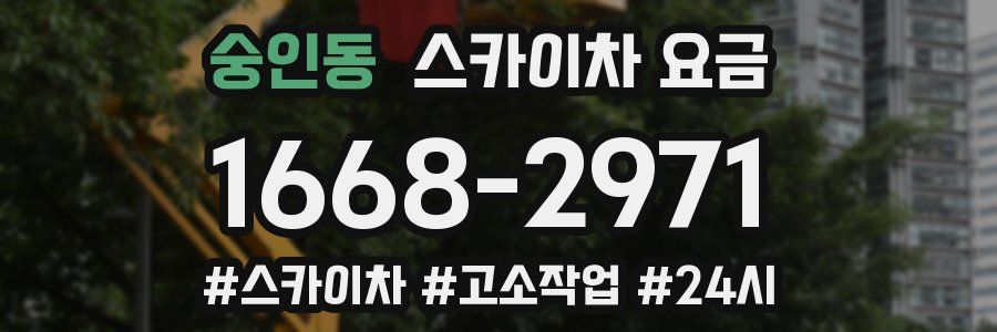 숭인동 스카이차 요금