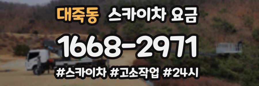 대죽동 스카이차 요금